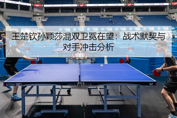 wang-chu-qin-sun-ying-sha-hun-shuang-wei-mian-zai-wang-zhan-shu-mo-qi-yu-dui-shou-chong-ji-fen-xi-3-206.jpg